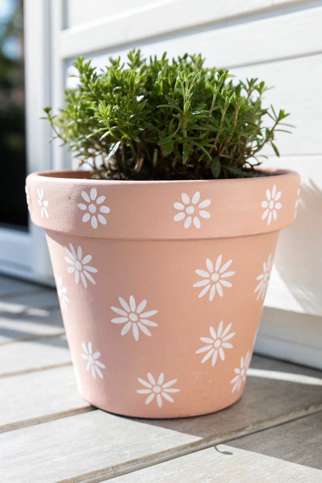 Classic daisy-painted pot inspiration: simple white blooms on matte terracotta for beginners