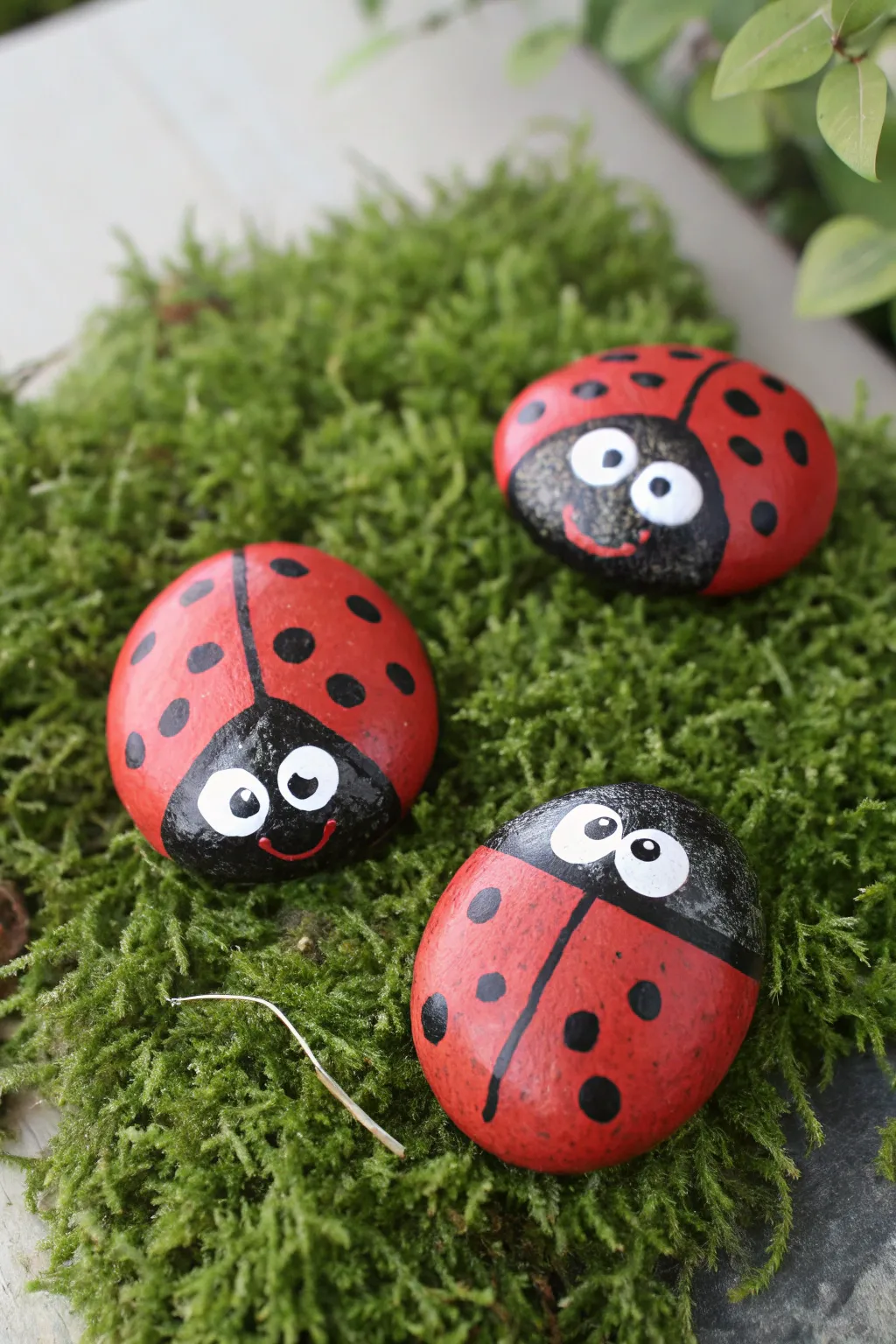 Add a pop of color to your garden with these adorable hand-painted ladybug rocks.