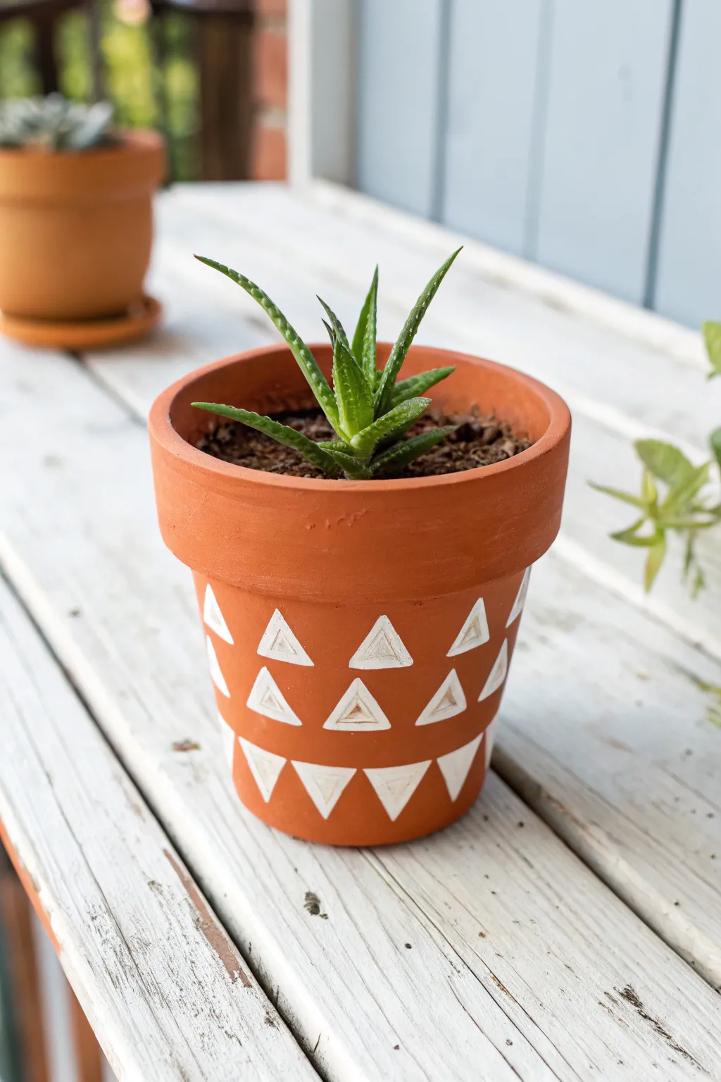 Elevate your plant babies with this chic and simple geometric DIY.