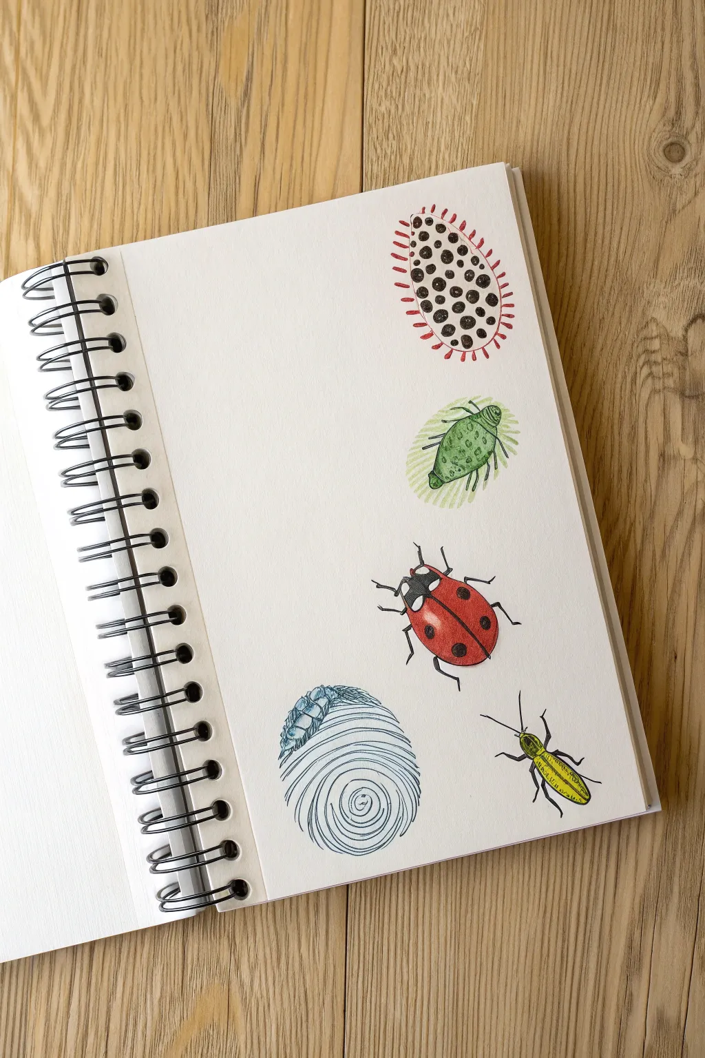 Turn colorful fingerprints into cute ladybugs and fish with simple pen doodles for kids.