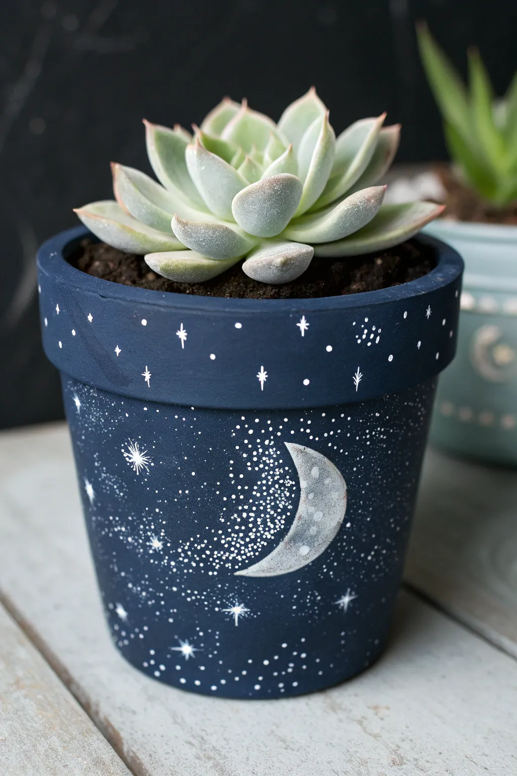 Night-sky succulent pot with star speckles and a soft moon, minimalist and dreamy contrast