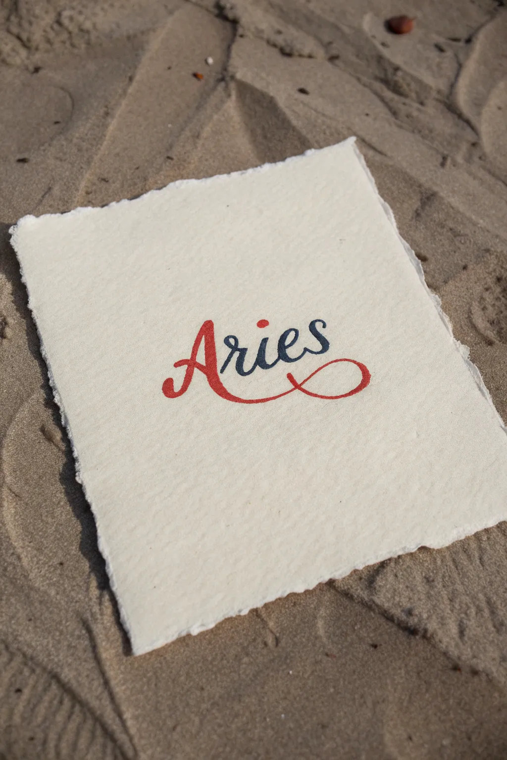 Minimal Aries wordmark and glyph in bold indigo and terracotta for a Scandinavian boho vibe.