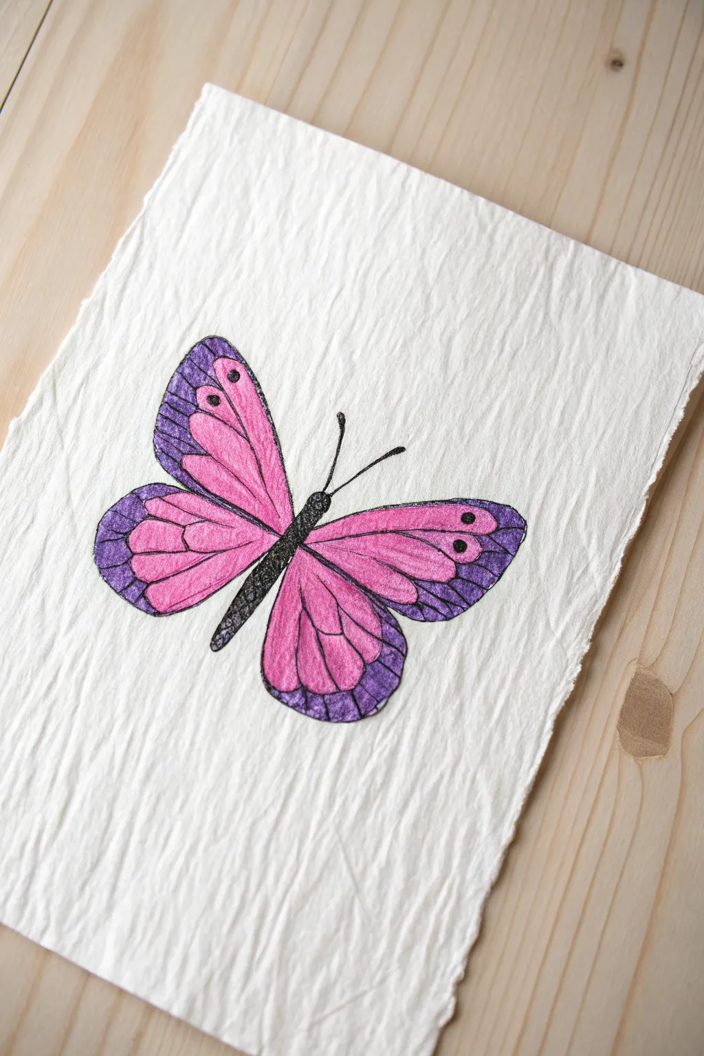 Beginner oil pastel butterfly with two bold colors blended per wing for a simple, striking look