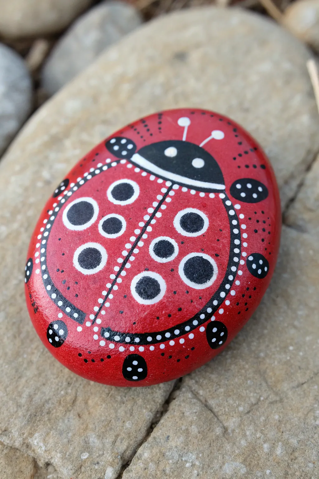 Sweet Mandala Ladybug Rock: crisp dot symmetry, bold red and black on a clean backdrop