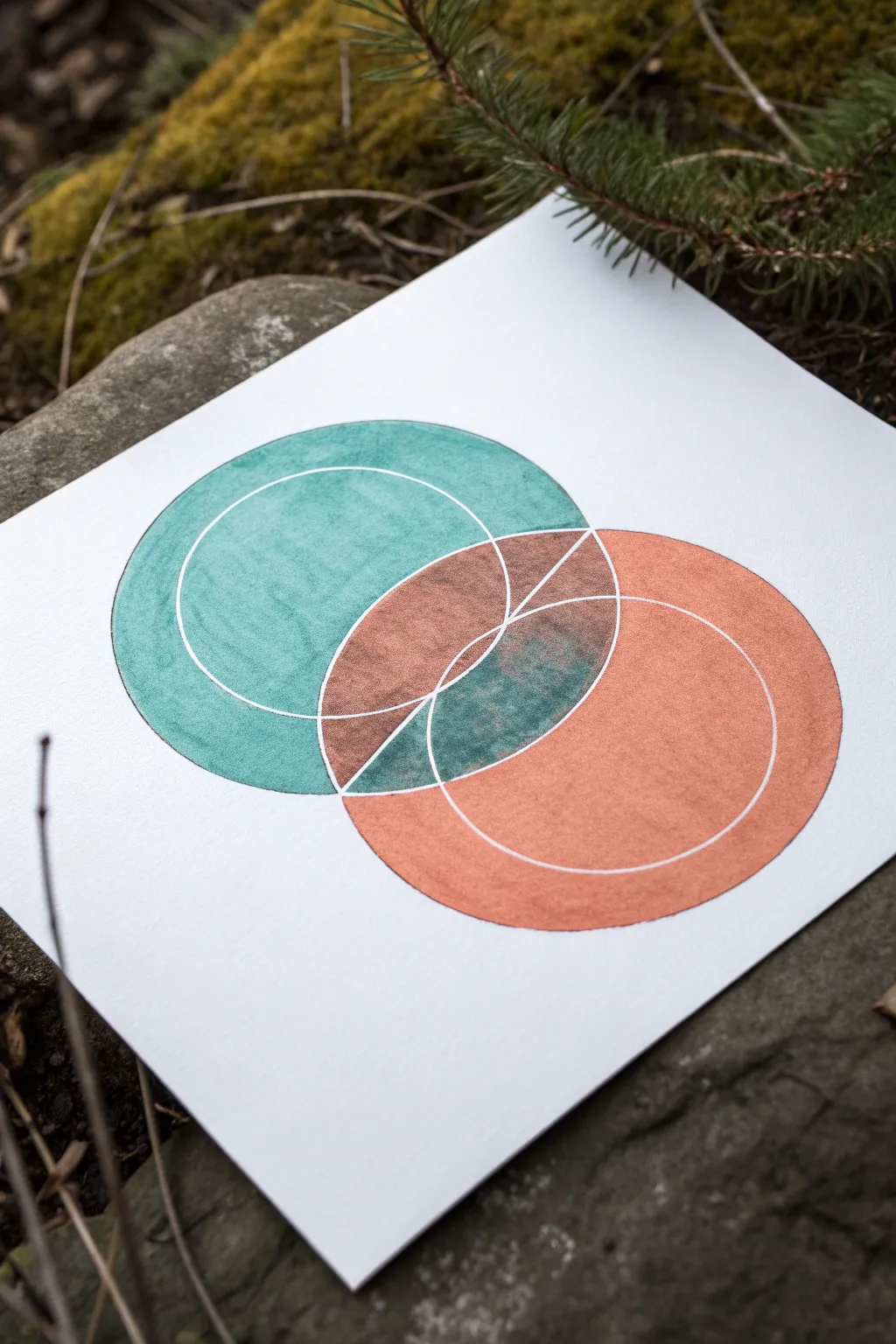 Minimalist Venn one pager with bold watercolor circles and tiny sketches for compare and contrast.