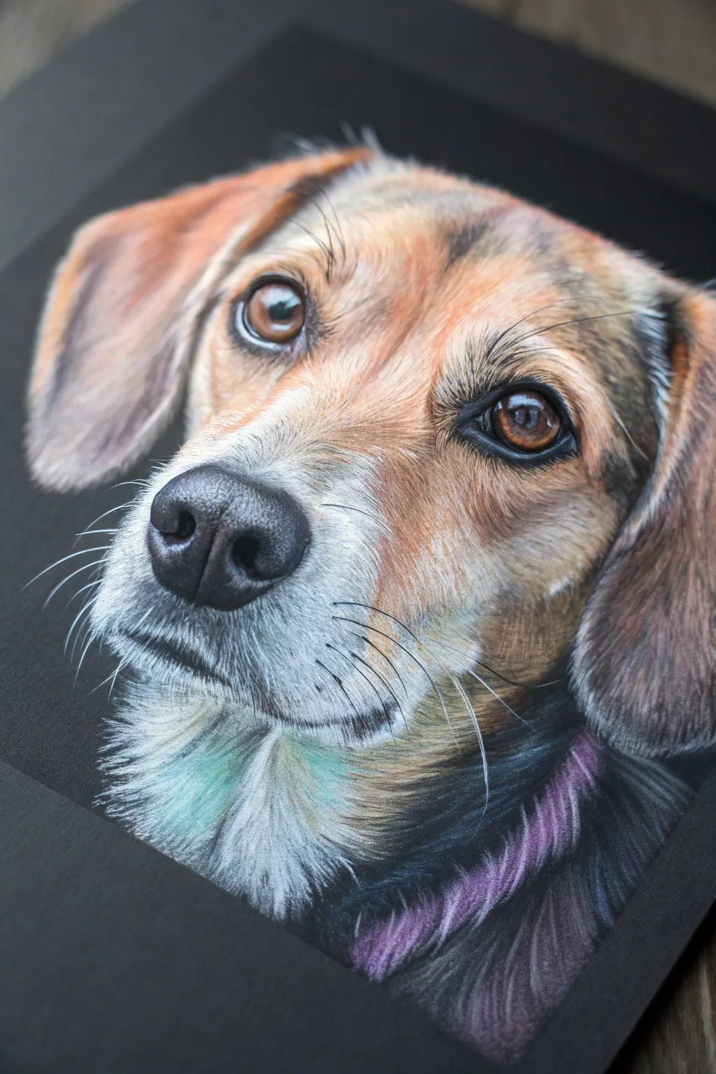 Pastel pet portrait close-up with layered fur strokes and soft shadows on a bold contrast backdrop
