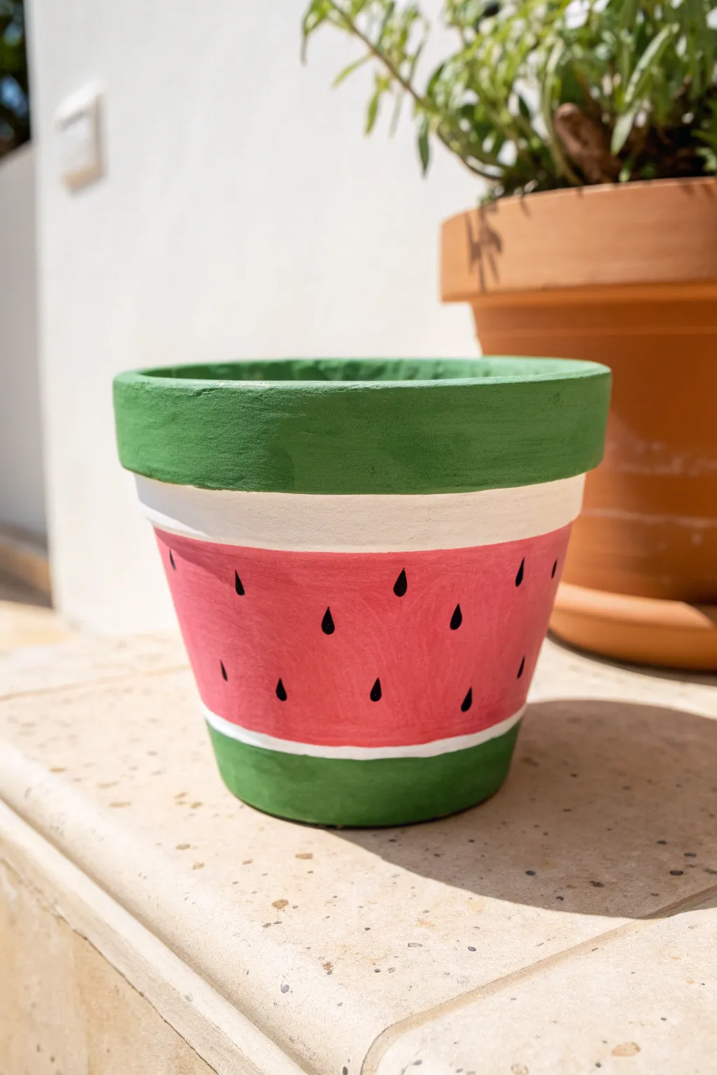 Watermelon slice painted pot idea with bold summer color, clean minimal styling, and crisp contrast.