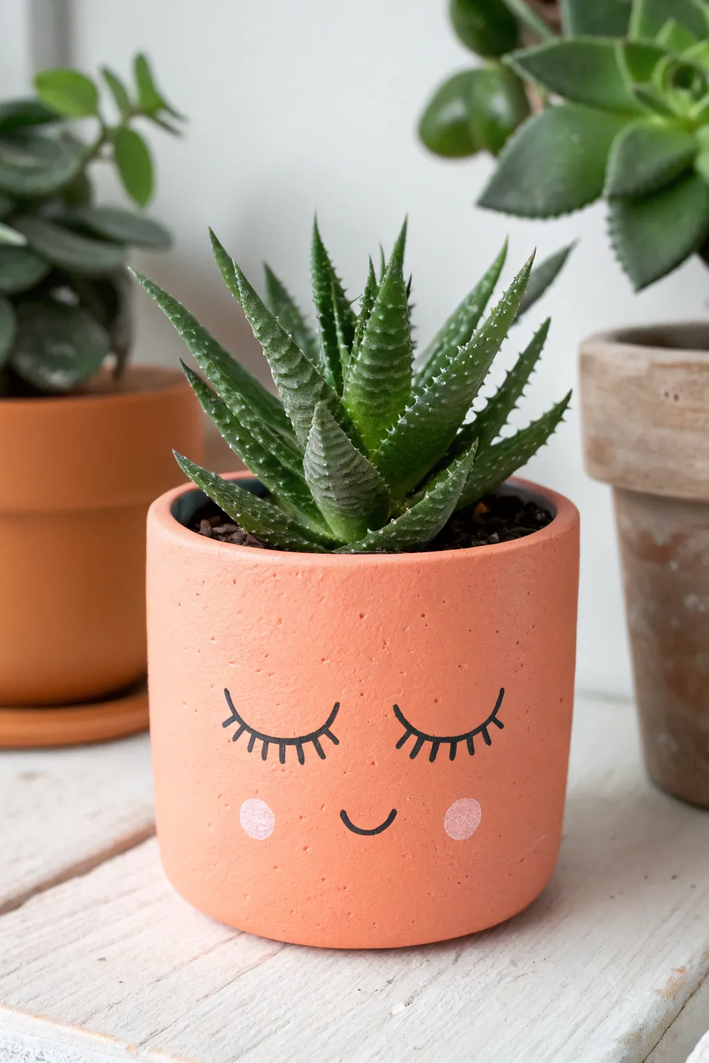 Whimsical sleepy face planter with spiky succulent hair, a bold minimalist DIY idea