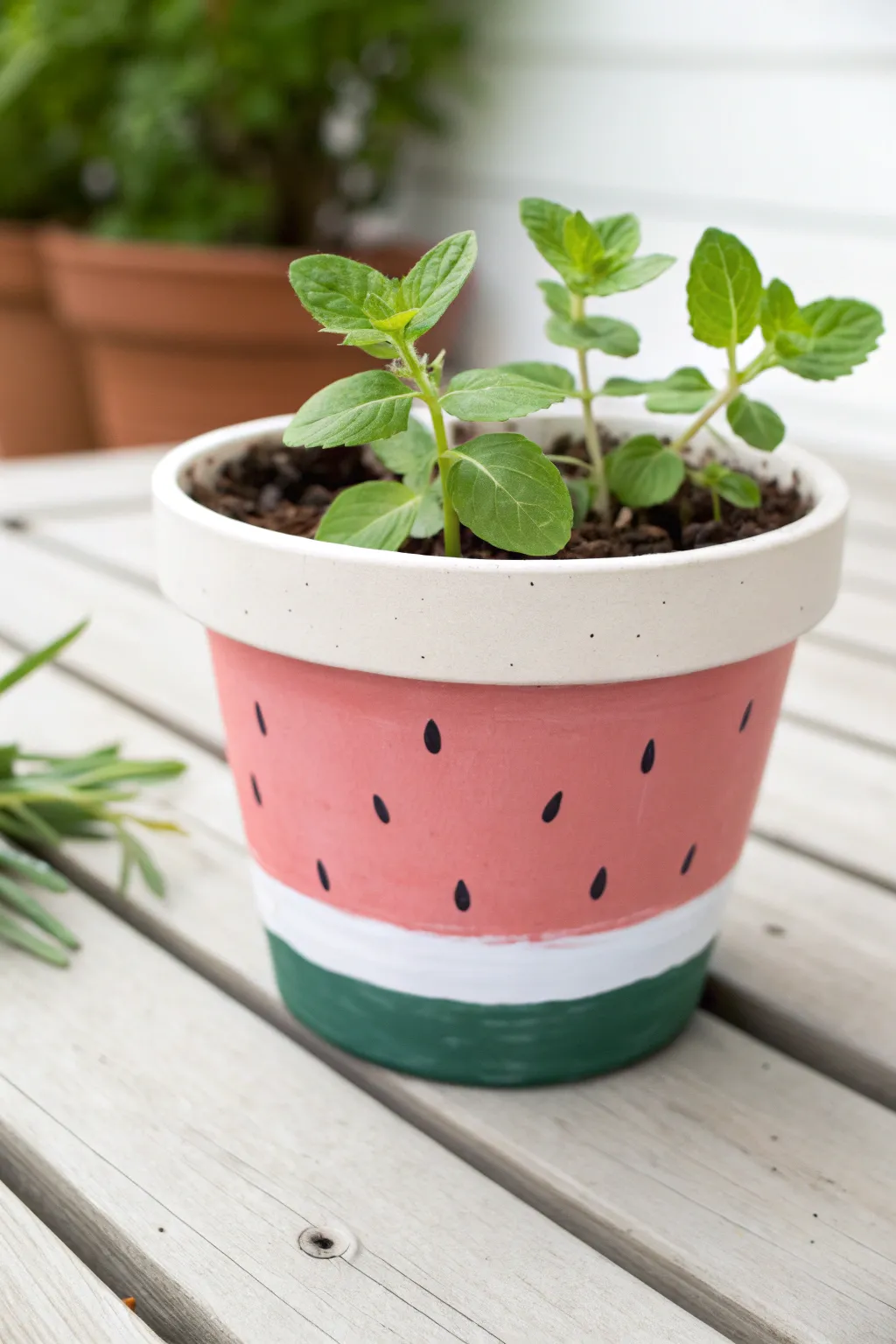 DIY watermelon slice flower pot in crisp pink and green, a fresh boho accent for patios