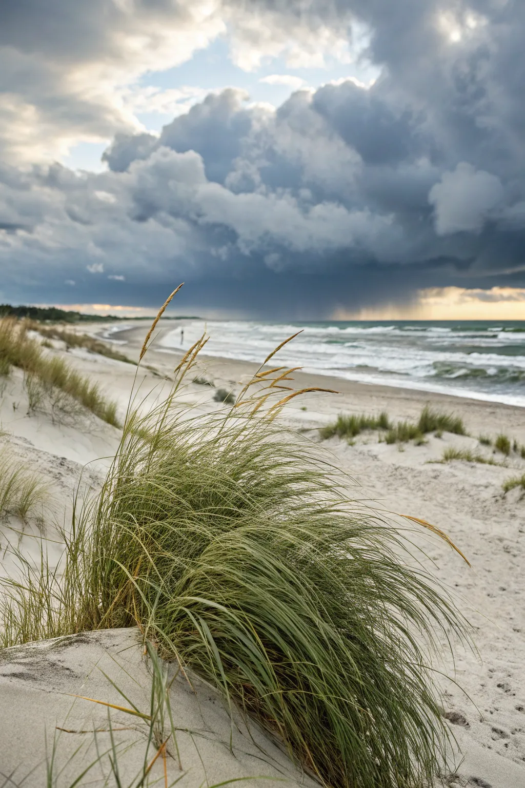 Wind-bent dune grass meets a brooding storm sea, minimalist coastal mood with bold contrast.