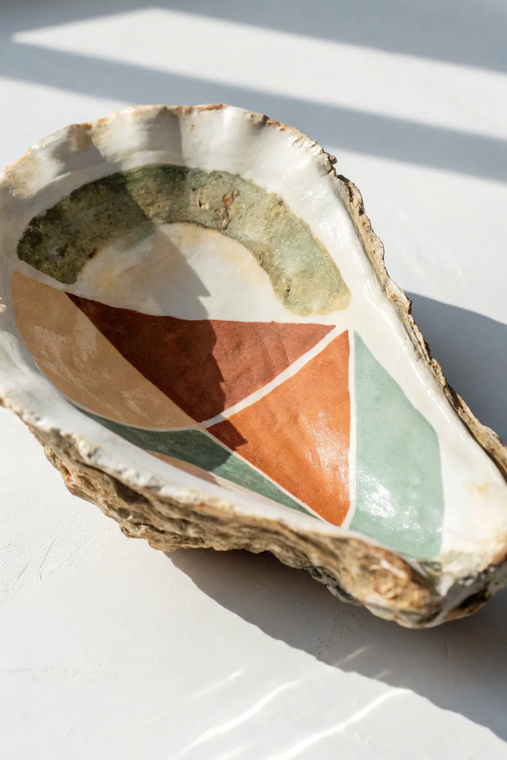 Bold modern color-block oyster shell on clean white, minimal Scandinavian style with boho warmth