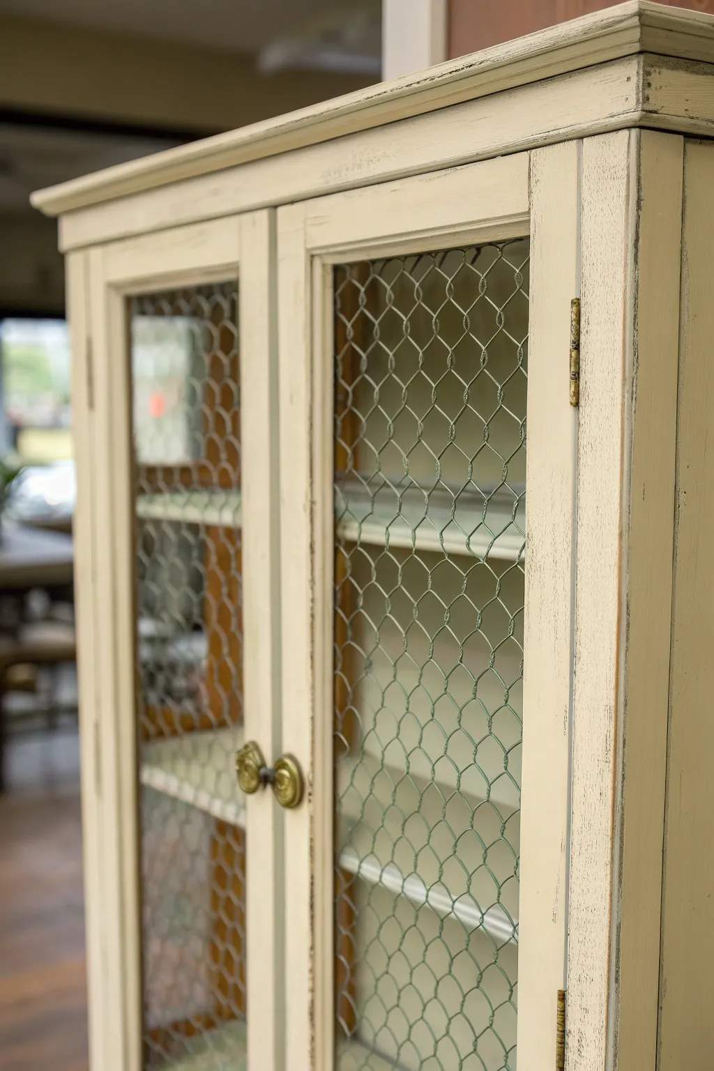 Painted curio cabinet door with wire mesh swap for a lighter, modern boho texture