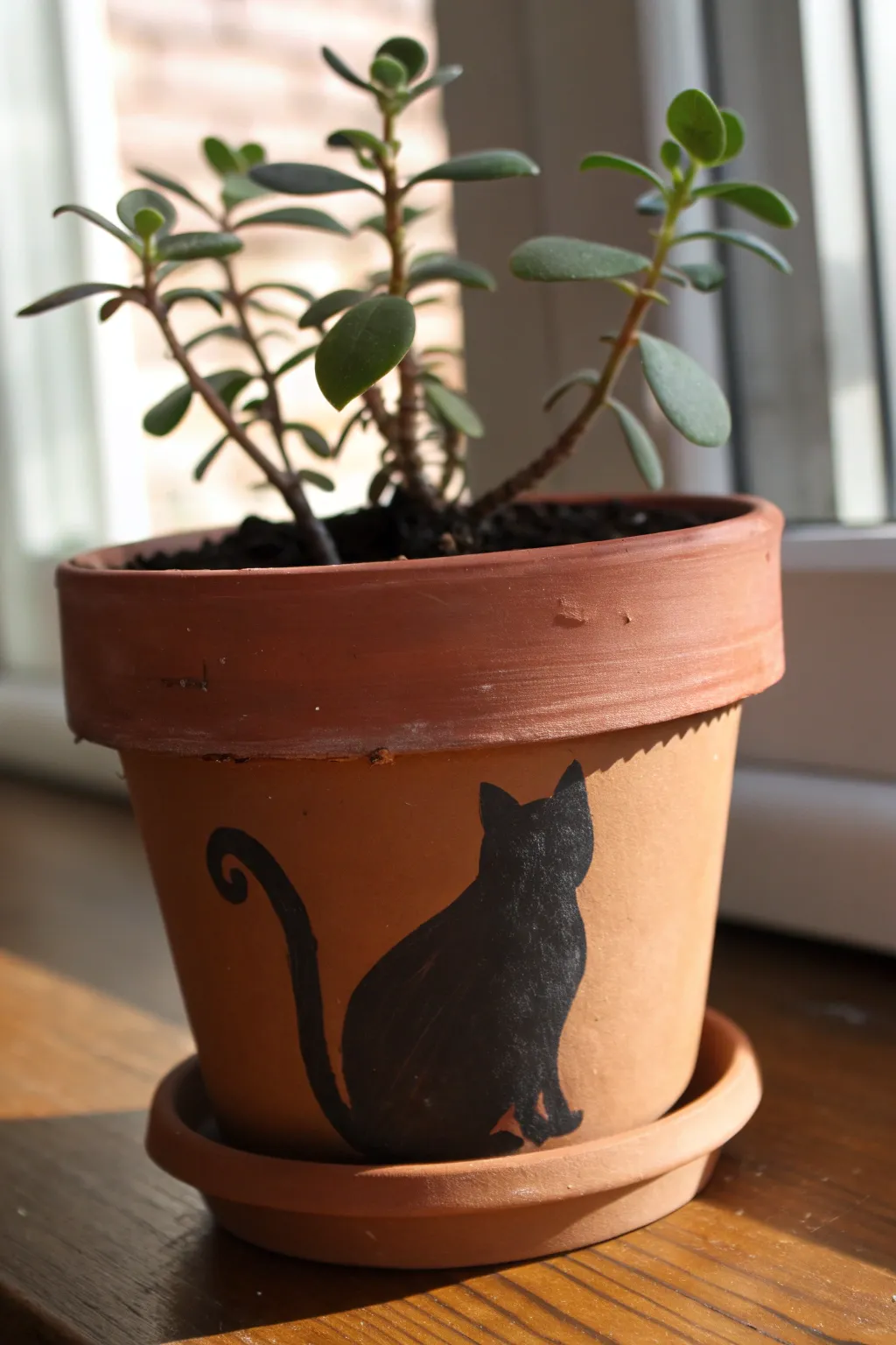 Cozy terracotta pot with a sleepy cat silhouette, minimalist Scandi boho inspiration.