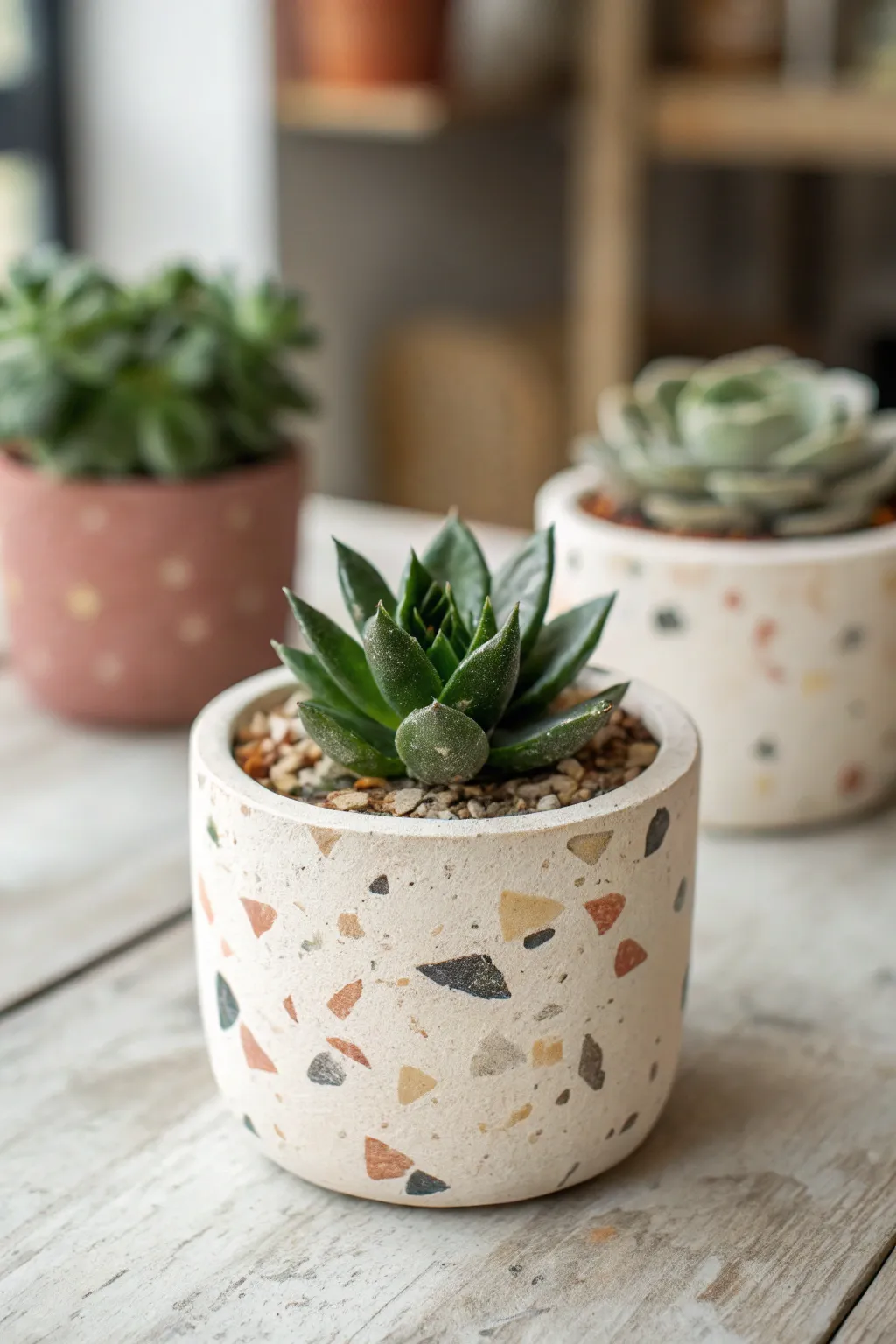 Faux terrazzo confetti speckles on a minimalist pot, perfectly paired with a deep green succulent