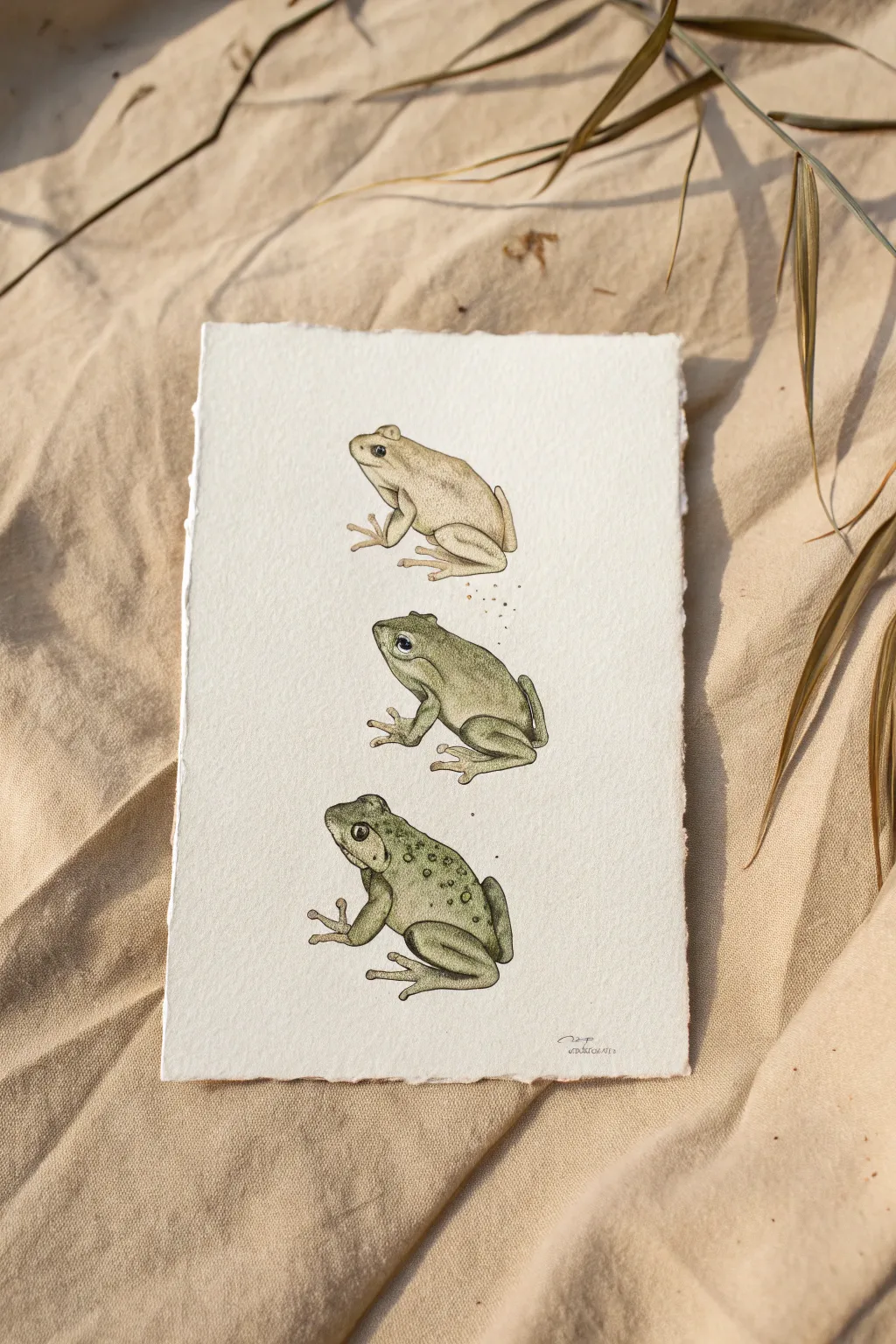 Three squishy frogs stacked high, a playful minimalist study in balance and gentle contrast.