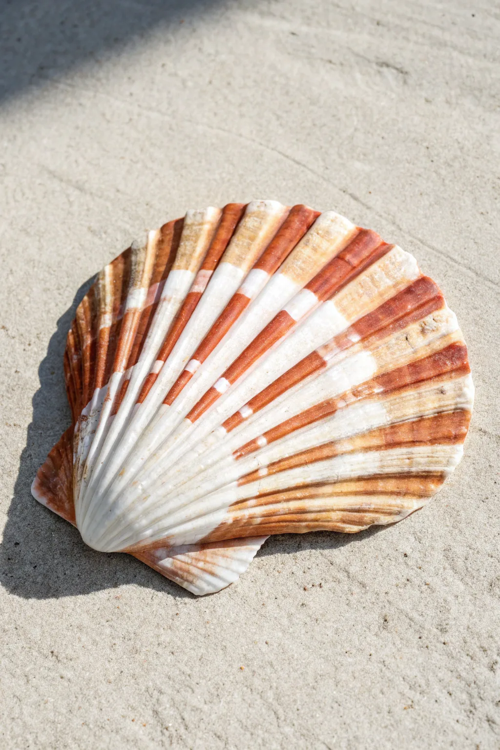 Chic negative space stripes! Use tape to reveal the natural beauty of the shell.