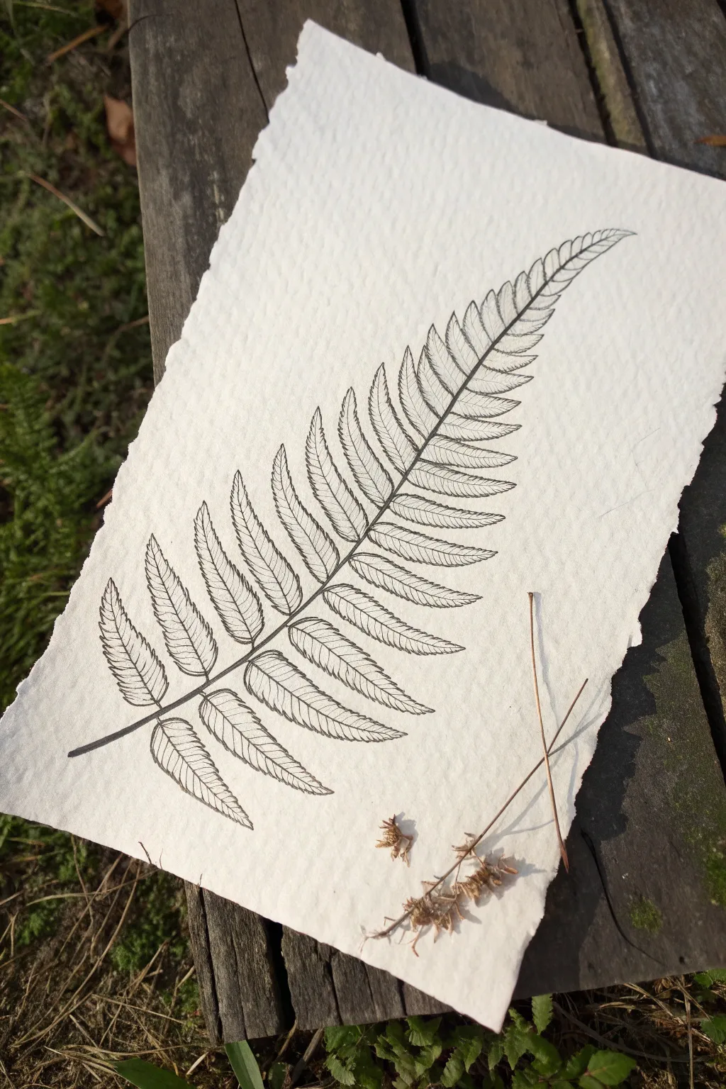 Rhythmic fern frond repetition with simple linework and gentle imperfections for organic drawing.