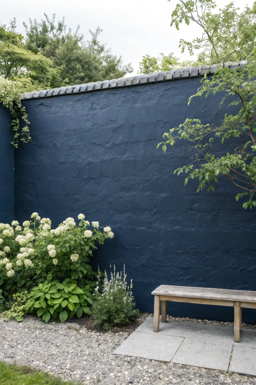 Deep blue garden wall adds depth as bright foliage and white blooms glow beside a simple bench