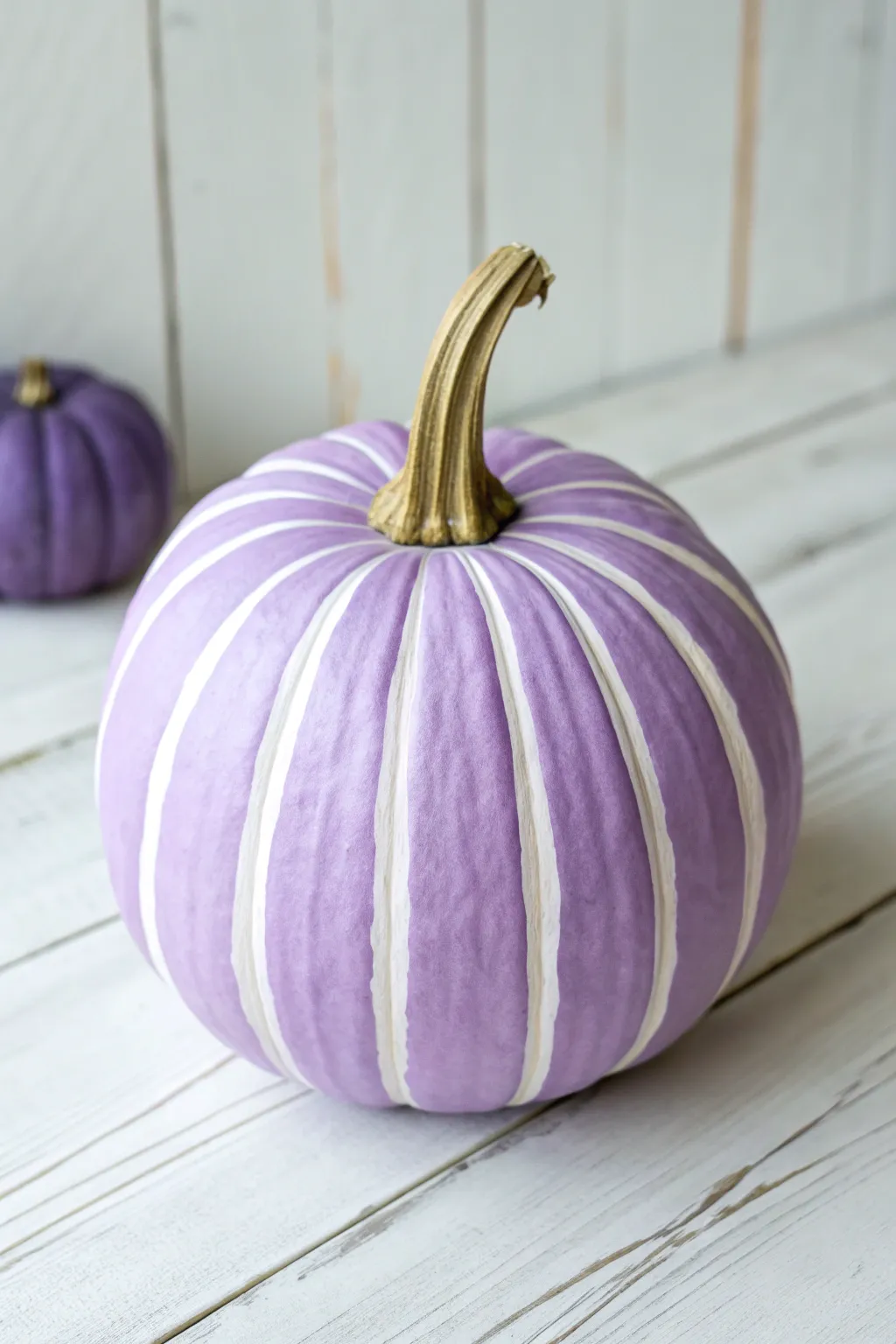 A single purple pumpkin with lilac-to-plum gradient stripes and a natural stem for crisp contrast