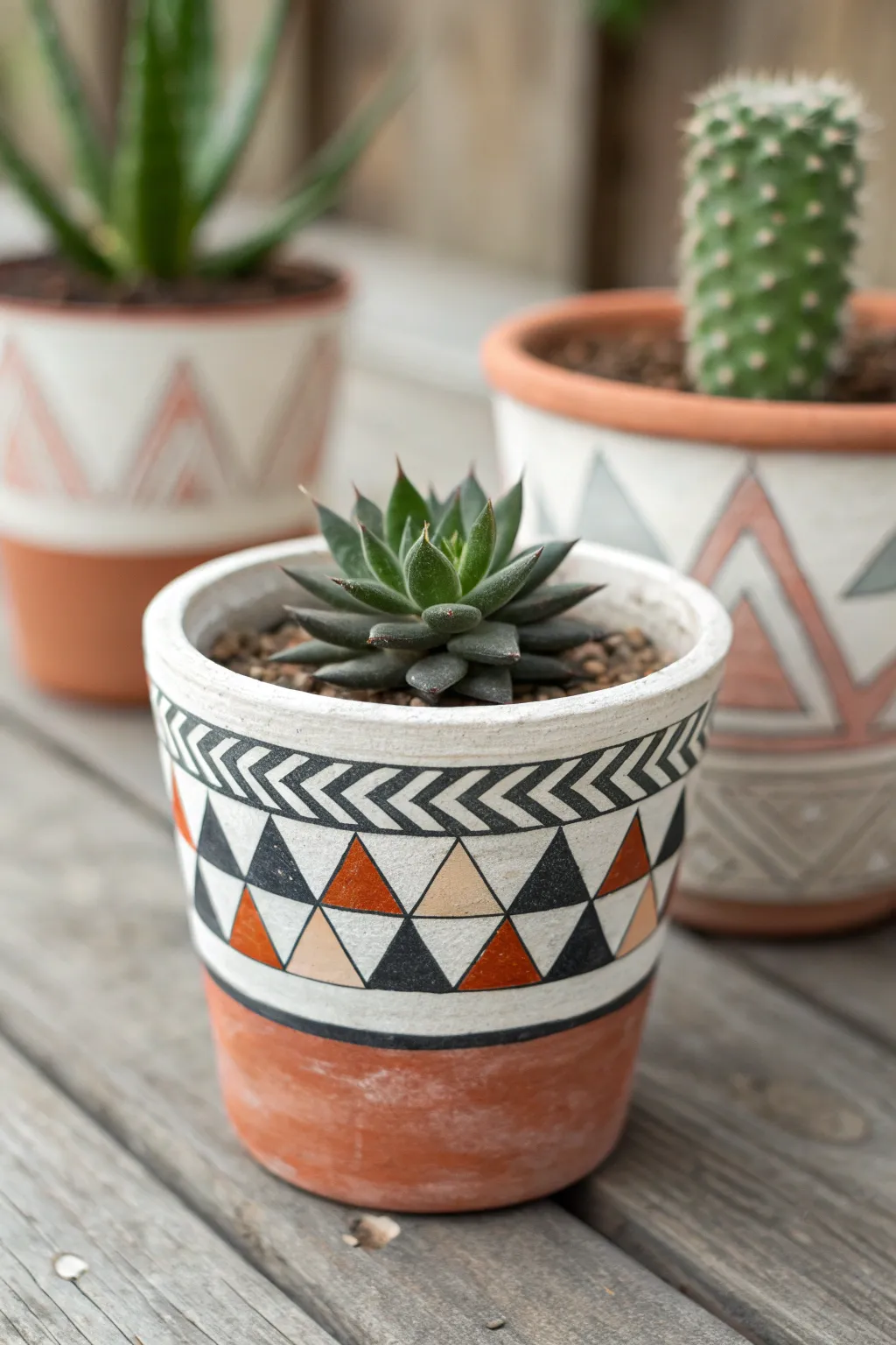 Crisp tape-trim triangles turn a simple succulent pot into a chic minimalist matching set.