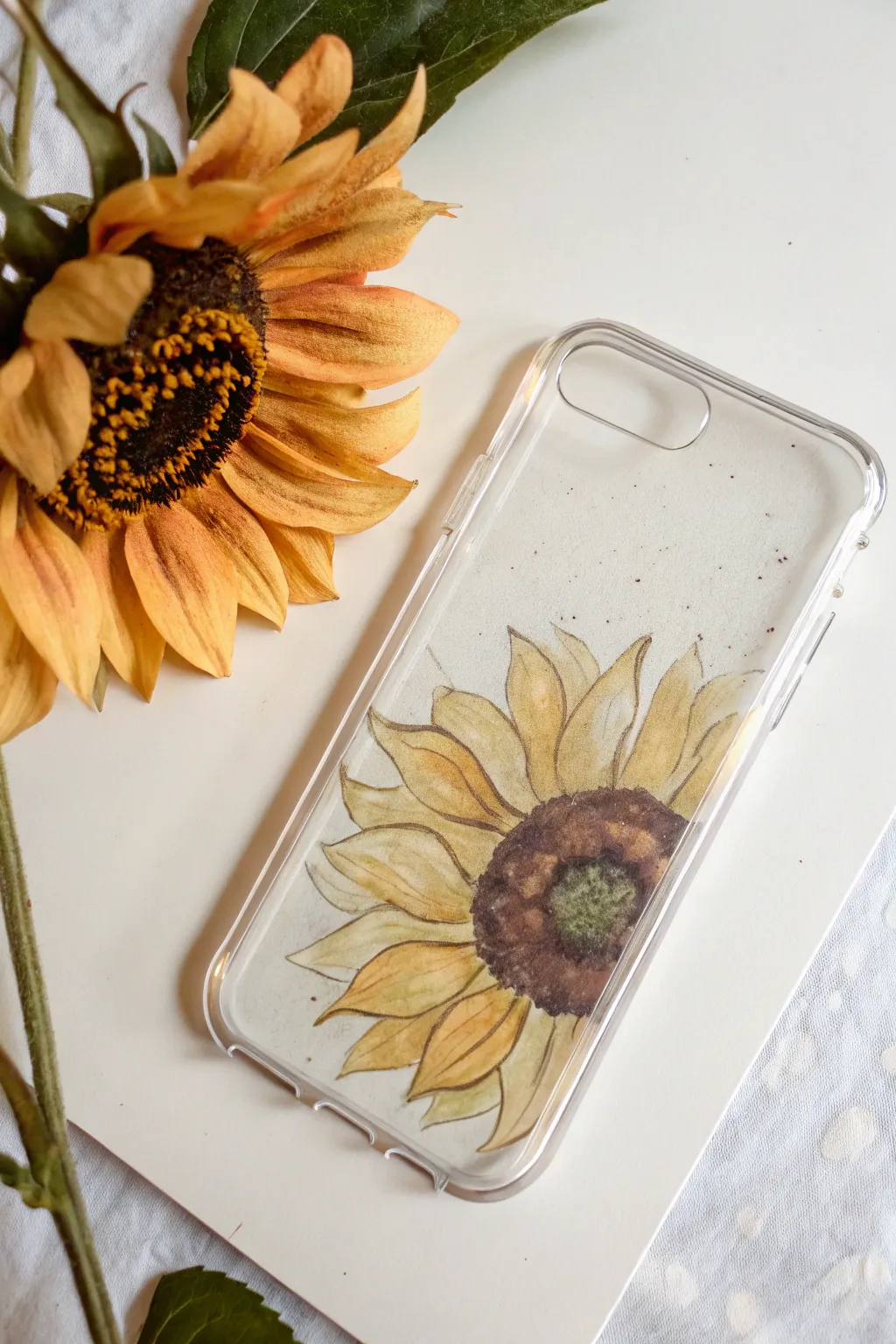 Sunflower half-bloom peeking from the edge of a clear case, bright and simple with scandi boho vibe.