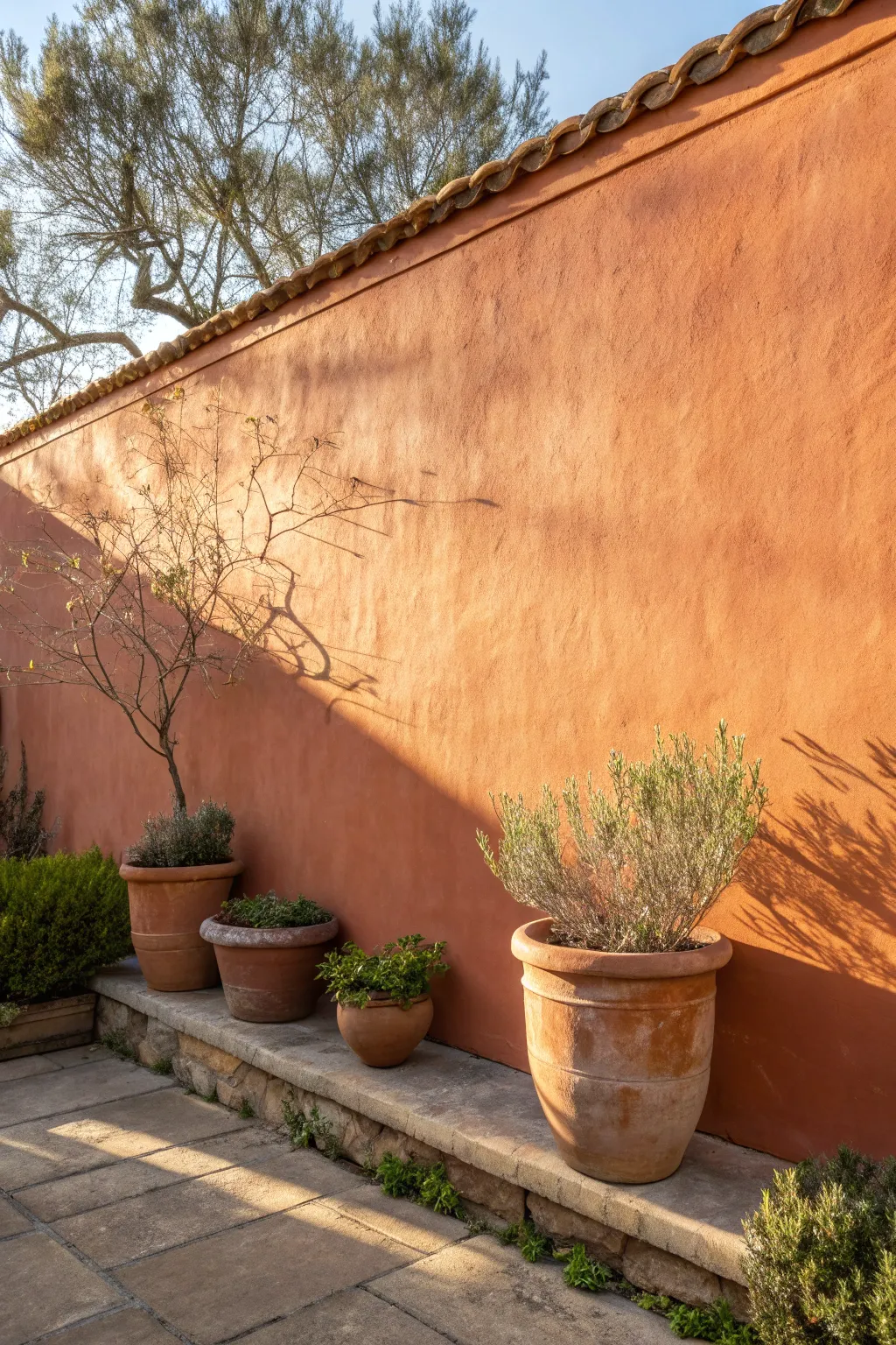 Warm terracotta wall glowing at golden hour, styled with silvery greens and simple clay pots