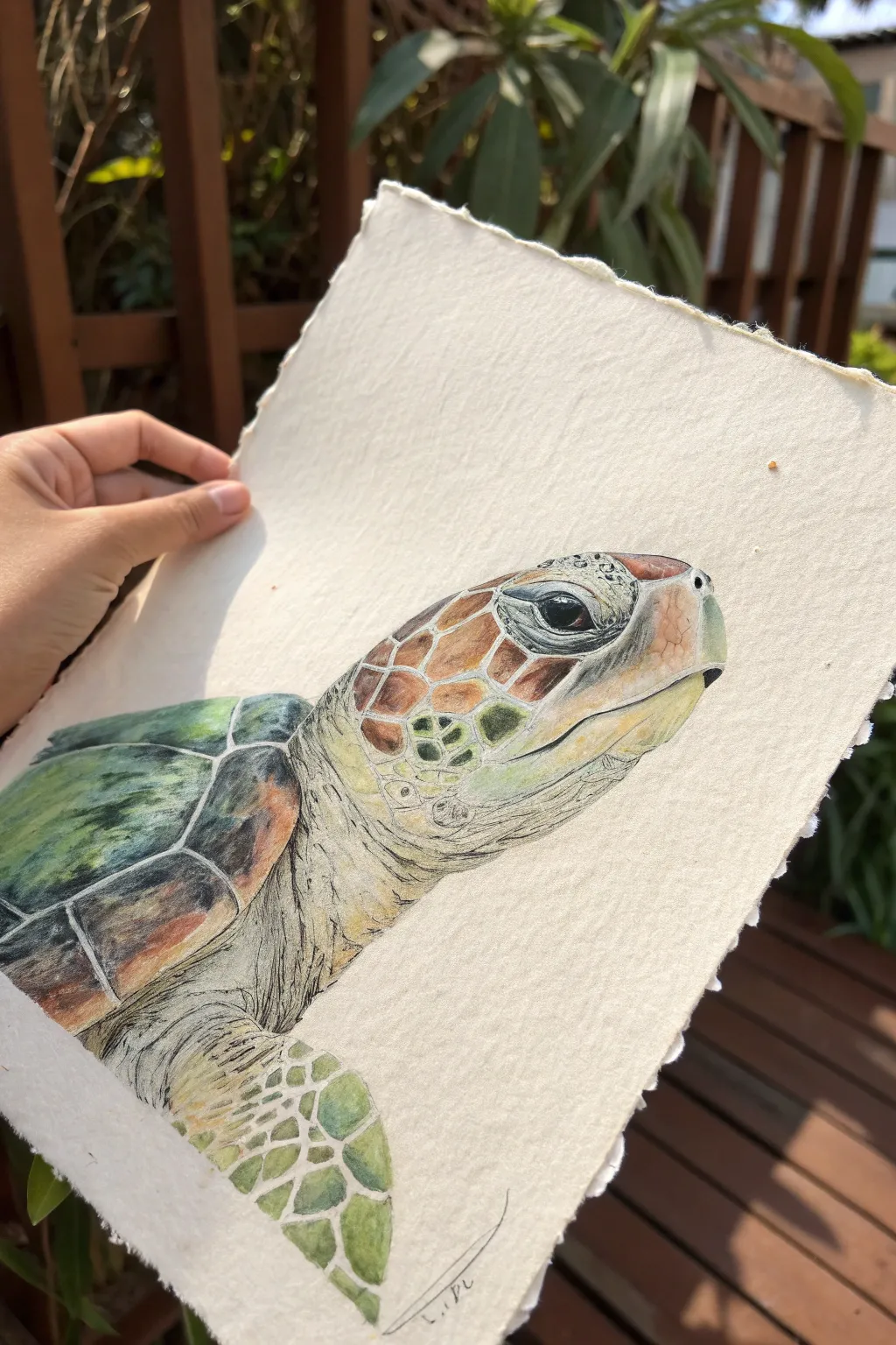 Turtle face close-up study with bold beak and eye details on clean minimalist paper.