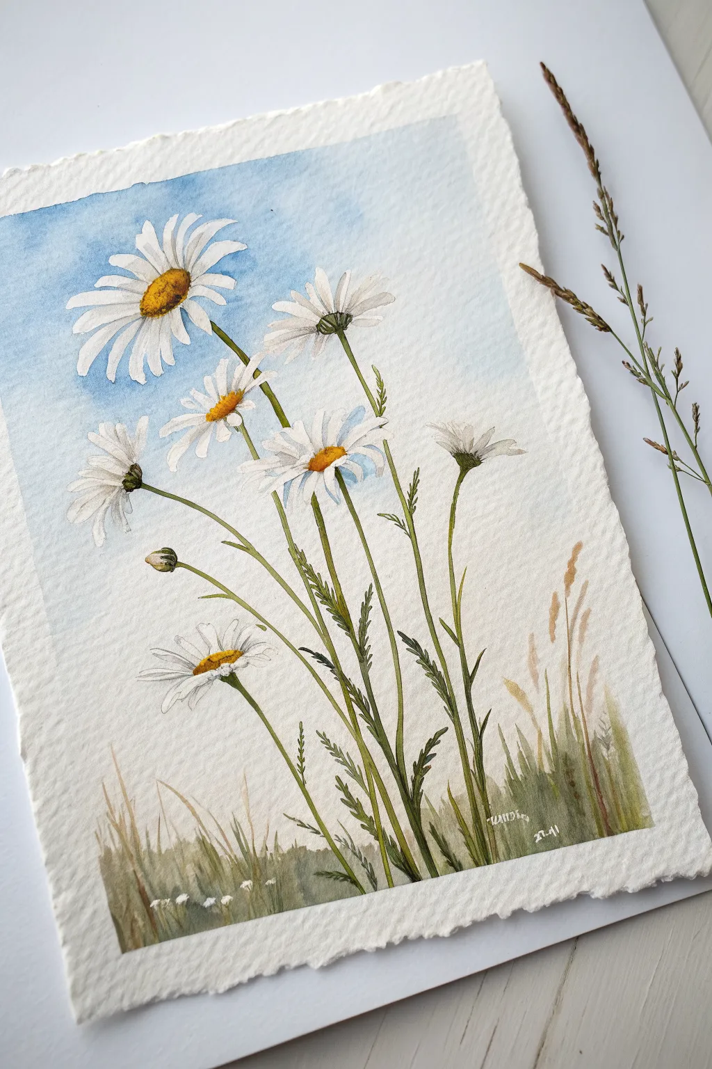 Watercolor daisies rising from the page edge, minimal sky wash and airy Scandinavian calm.