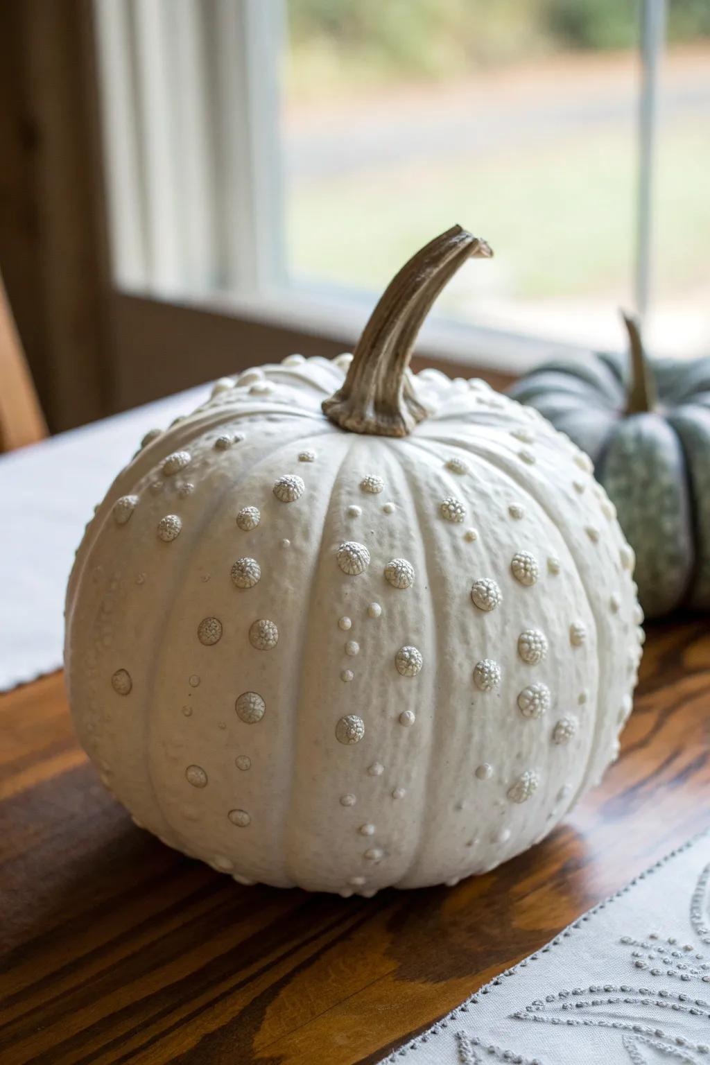 Soft matte white warty pumpkin with delicate gray shadows highlighting every bump