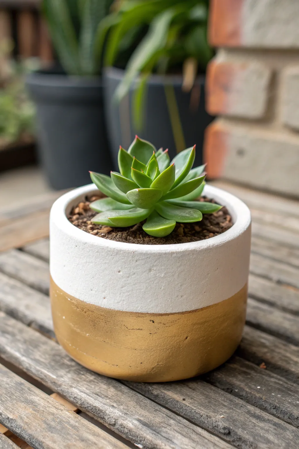 Elevate your indoor garden with this chic and easy metallic gold-dipped pot idea.