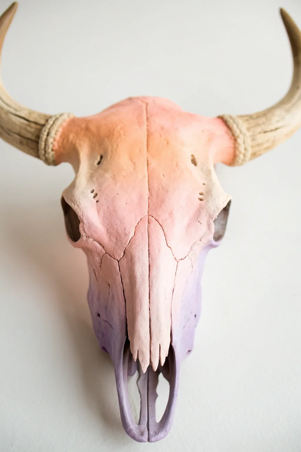 Soft desert sunset ombre cow skull DIY: peach to lavender fade for minimalist boho vibes