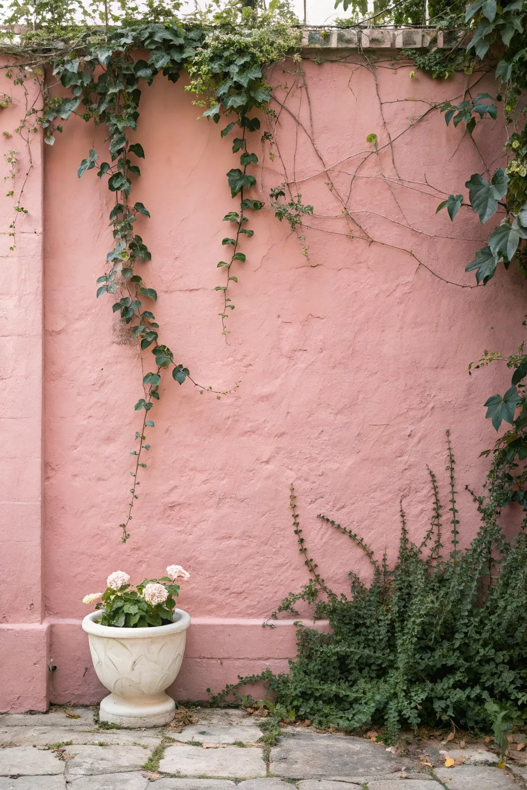 Dusty pink garden wall with lush greens and blush blooms for a soft Scandinavian garden moment