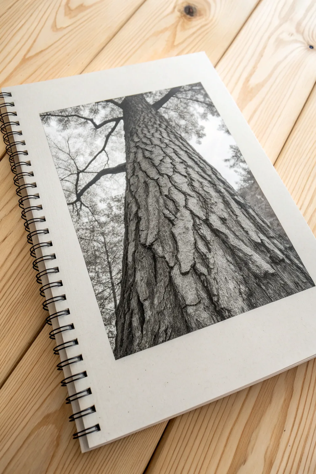Charcoal texture study: rugged tree bark against soft leaf shapes in a calm minimalist style.