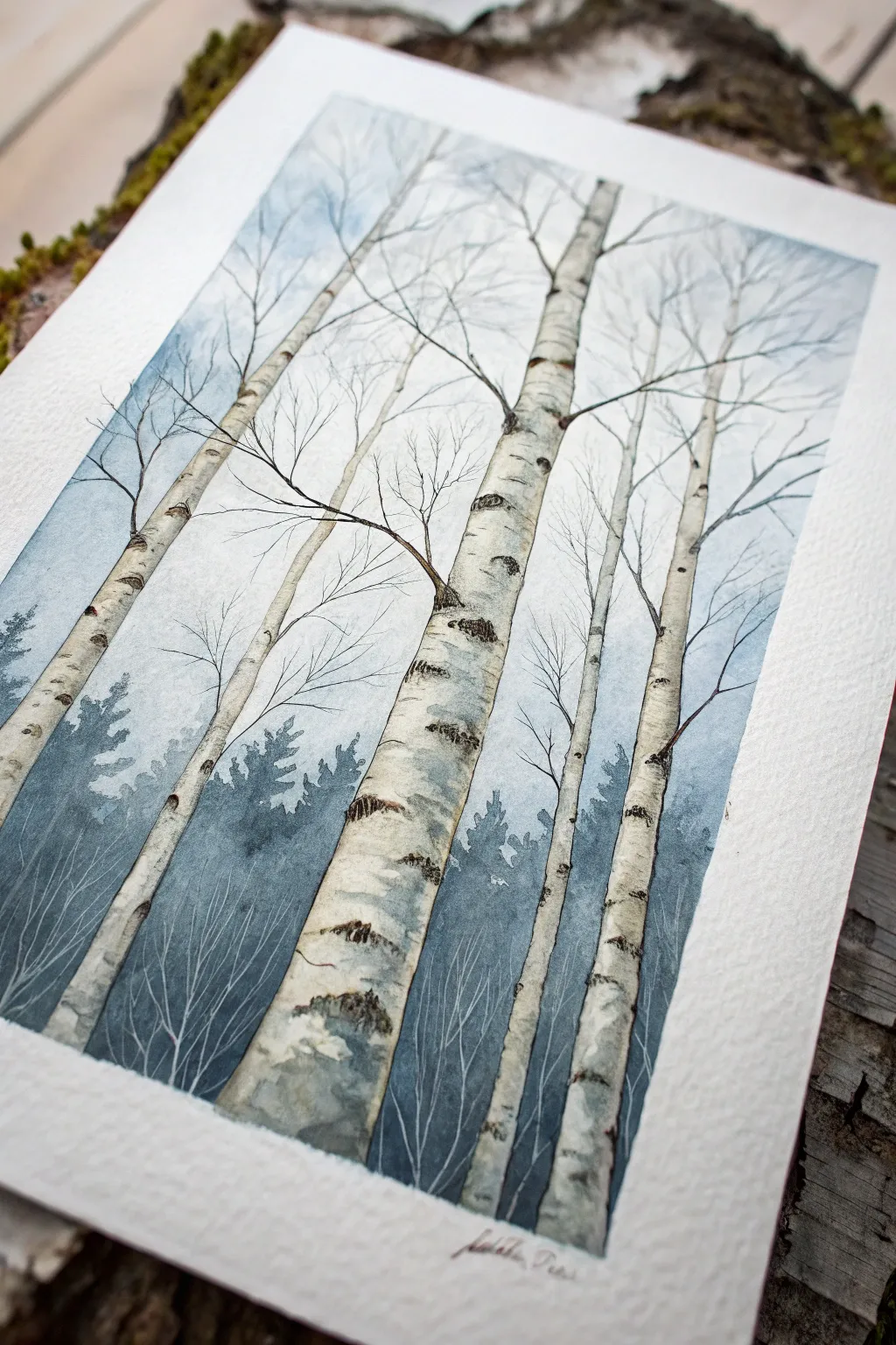 Winter watercolor birch trunks with scraped white bark and a cool minimalist Scandinavian wash