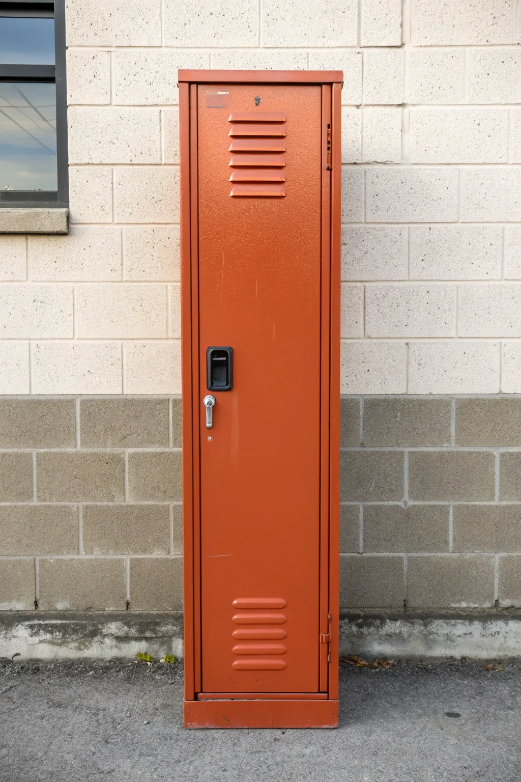 Painted locker in bold color with brass and matte-black hardware for a chic contrasting accent.