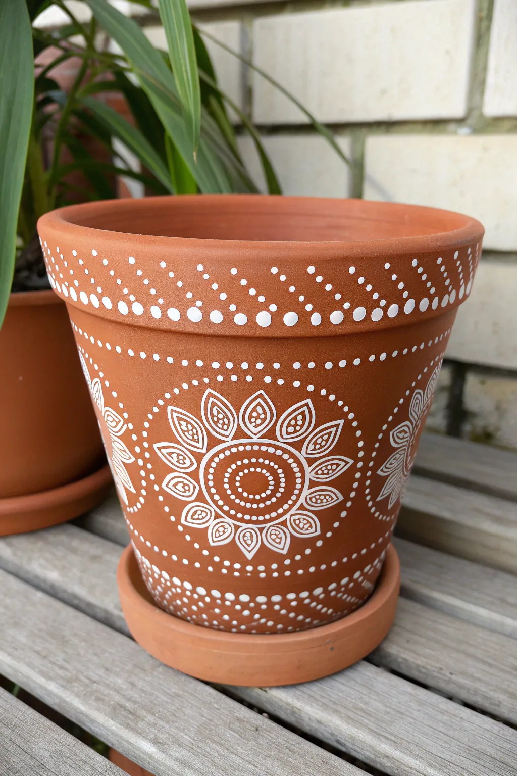 Bold dot-mandala medallion pot with raised texture and minimalist boho contrast
