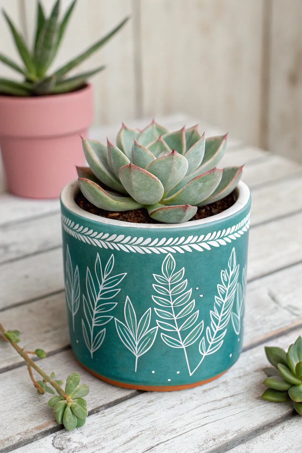 Minimalist botanical line art pot in bold color, showcasing a crisp rosette succulent.