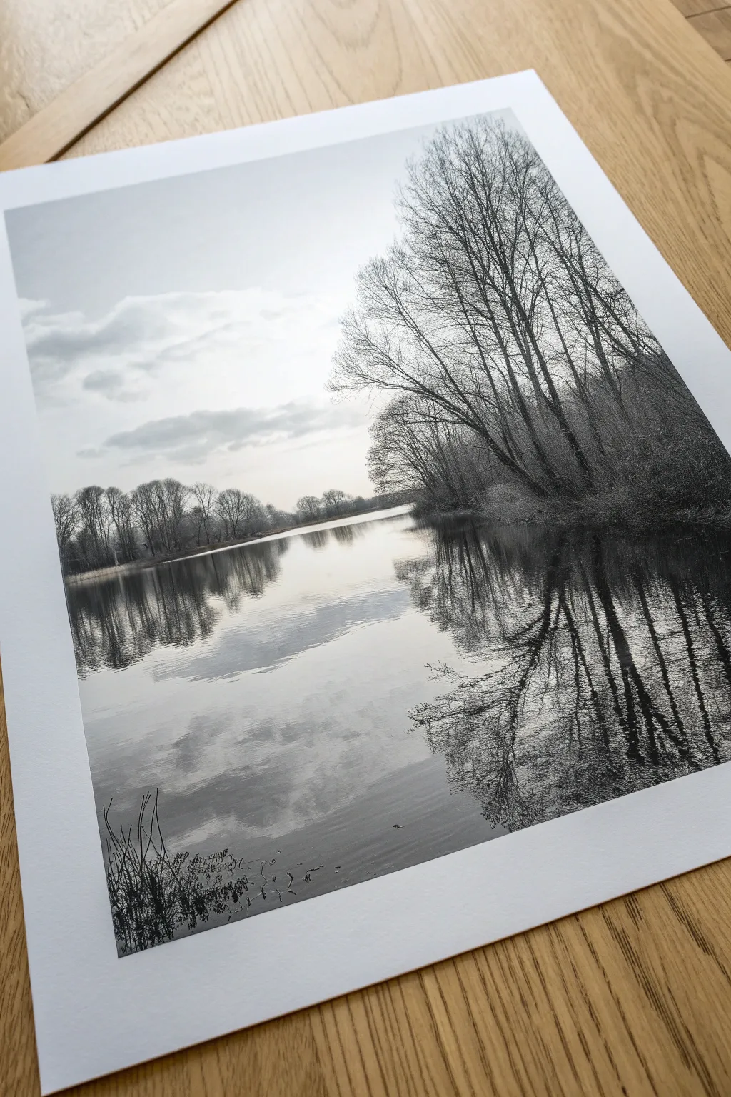 Charcoal lake reflections: dark trees mirrored in calm water with soft smudged edges