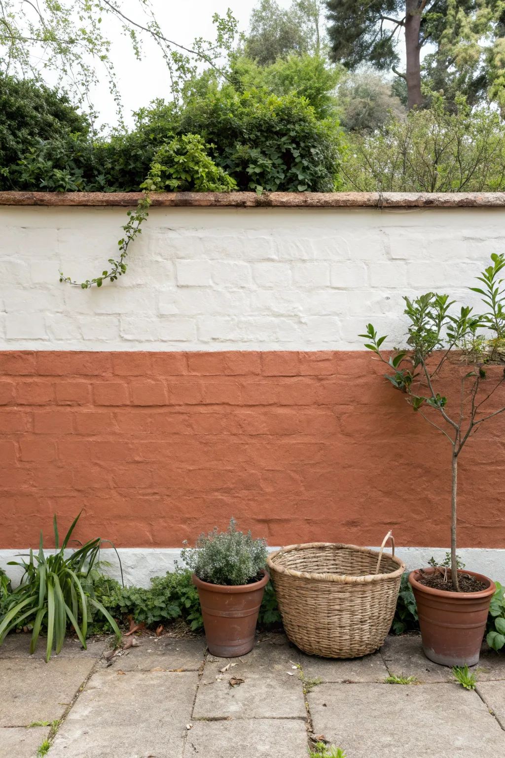 Two-tone color block garden wall with crisp tape lines and calm Scandinavian boho styling