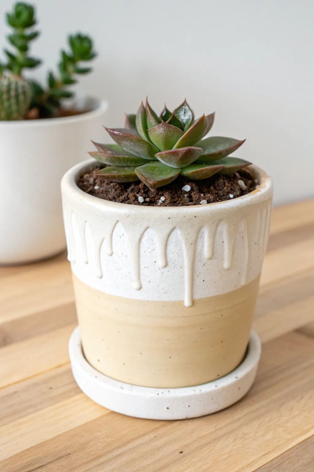 Glossy icing-like drips turn a simple pot into a minimalist statement piece.