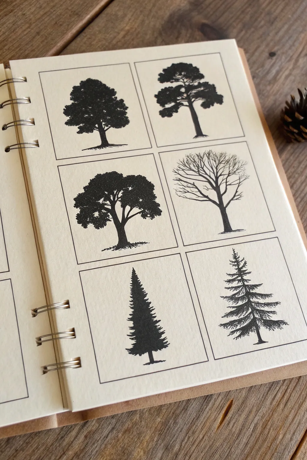 Six quick tree silhouette shapes on one clean sheet for minimalist, high-contrast drawing practice.